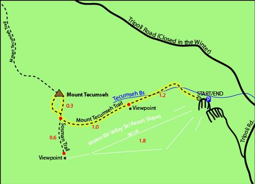 Mt. Tecumseh Post Thanksgiving Hike