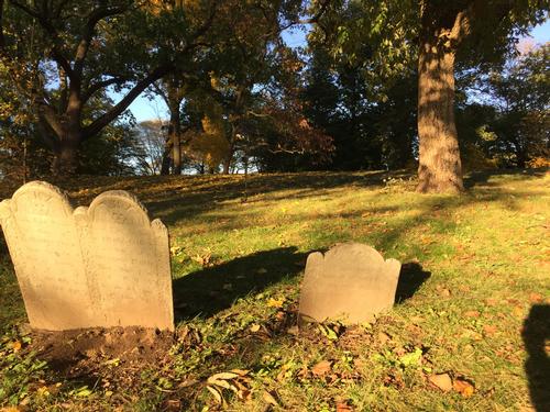 A Haunted Halloween Hike in the Arnold Arboretum