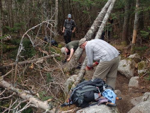 Osceola Trail Maintenance Day