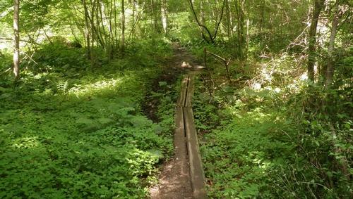  Scenic Appalachian Trail Day Hike, Pawling to Cat Rocks
