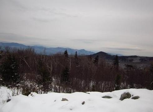 Mount Roberts Hike