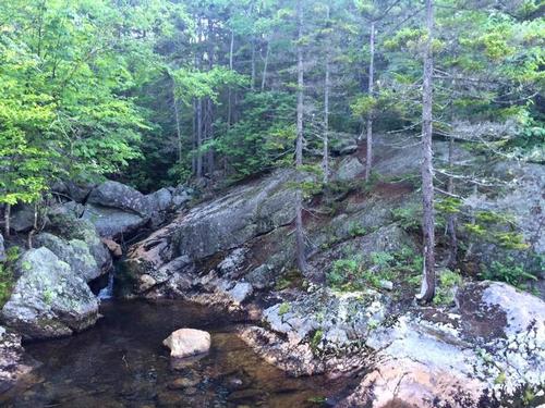 Wild River Wilderness / Moriah Loop Backpack: