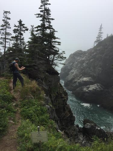 Downeast Maine Coast Adventure