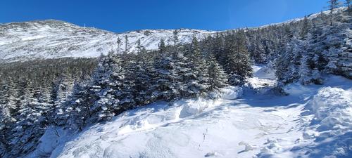 Mt. Washington Hike via Ammo Trail