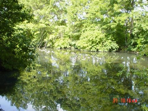 Boston's Emerald Necklace