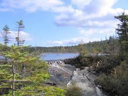 Nancy Brook and Norcross Pond