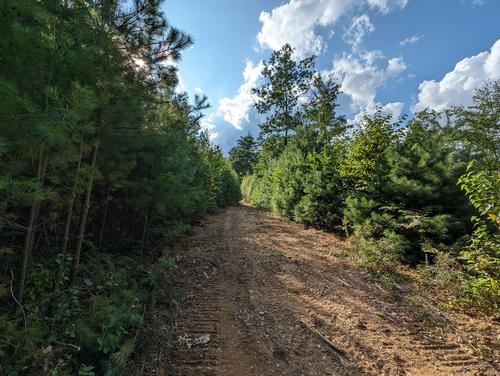 BOISVERT-NORMAND NATURE PRESERVE TRAIL WORK