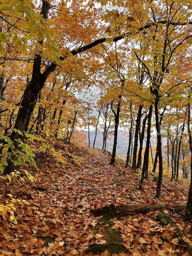 Fall Hike in Squam Range: Mt. Webster [2051’] 