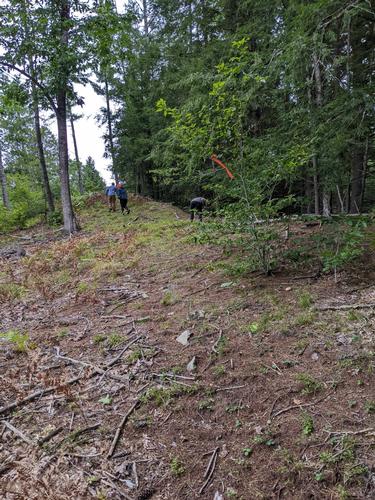 BOISVERT & NORMAND NATURE PRESERVE ESKER TRAIL WORK