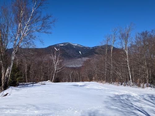 WATERVILLE VALLEY NORDIC CENTER XC SKI