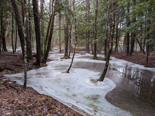 BOISVERT & NORMAND NATURE PRESERVE WINTER HIKE & MEAL 