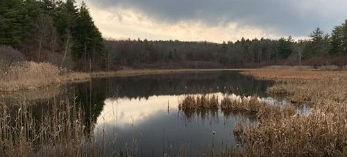 Q-MoB Hike: Wilson M Powell Wildlife Refuge