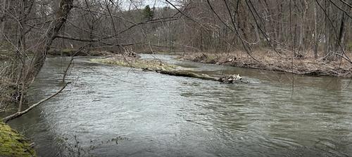 Q-MoB Hike: Spruces Park/Hoosac River Trail
