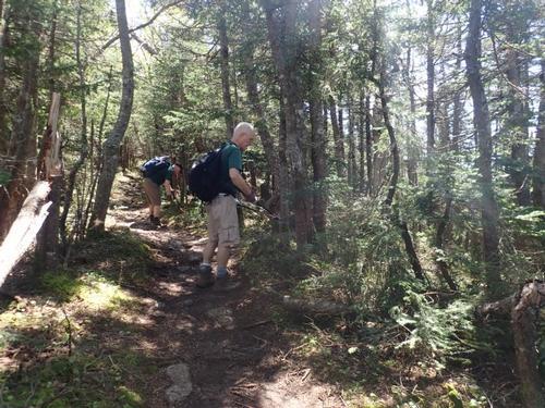 EAST PEAK OSCEOLA TRAIL MAINTENANCE DAY