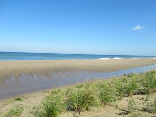 IT'S SUMMER - LETS GO BEACHCOMING!
