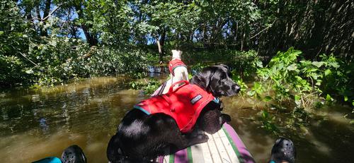 28 miles on a Paddleboard in One Day