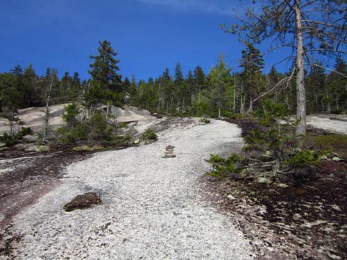 Fischer Mountain Hike; 4th of July Weekend Celebration! 