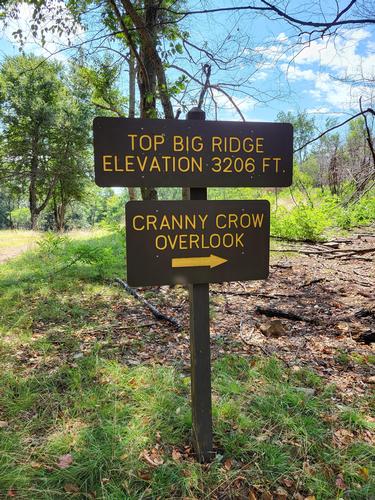 Cranny Crow and Big Ridge Hike