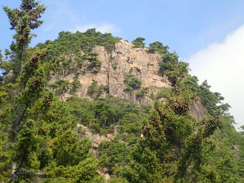 ACADIA NATIONAL PARK BEEHIVE SUMMIT TRIP