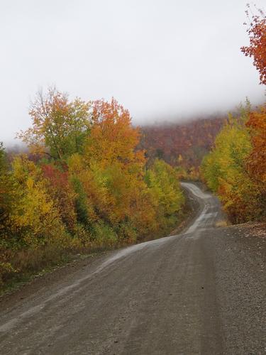 Past peak leaf peeping-North Maine Woods