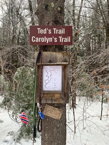 Ted's Trail to Carolyn's Trail Loop