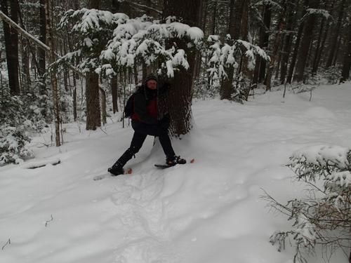 Powdah Day on Welsh Mtn. Ledges