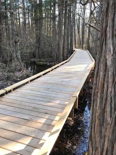 Manchester Cedar Swamp