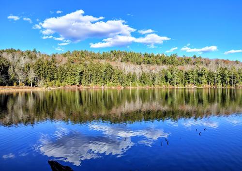 Goose Pond Stroll