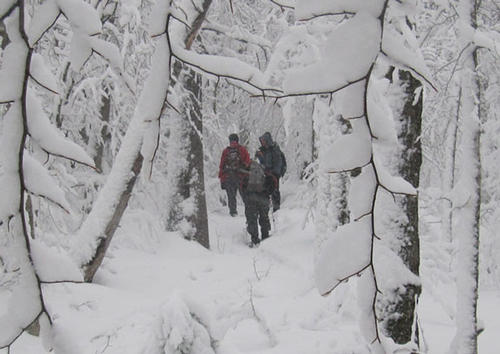 GetWinter Hike #4: Jennings Peak