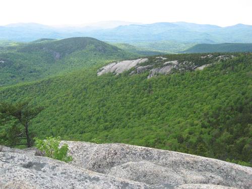Welch-Dickey Loop