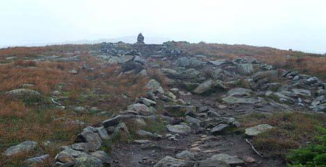 Mt. Moosilauke Hike