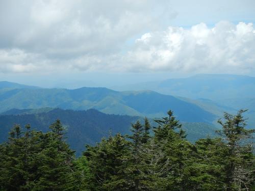 Clingman's Dome / Mt. Collins