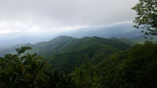 Tellico Gap to Wesser - NC AT