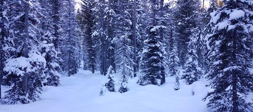 Iced over in the Sawtooths