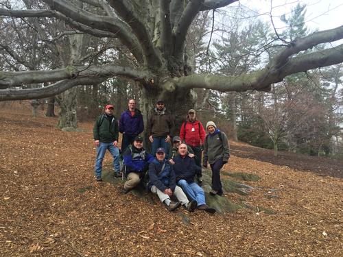 Early Spring Hike in Arnold Arboretum