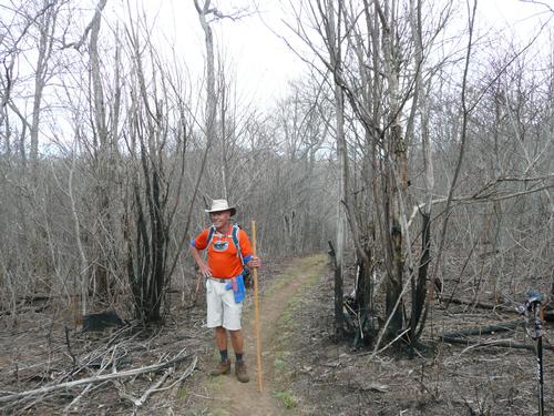 Appalachian Trail Hike - 9.3 miles