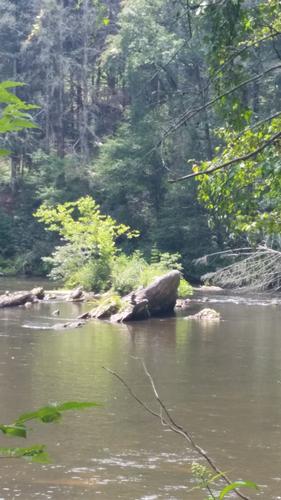 Bartram Trail Hike