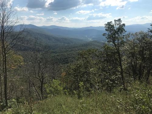 Benton MacKaye Trail Hike - 11.6 Miles