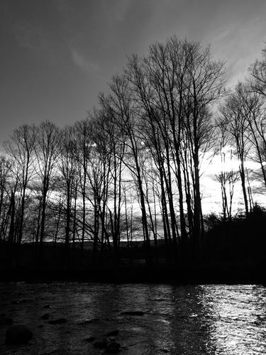 A Vermont Thanksgiving