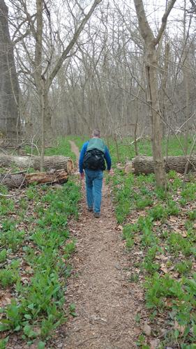 Turkey Run Park