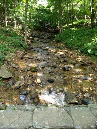 Story of the Forest Trail, Shenandoah National Park