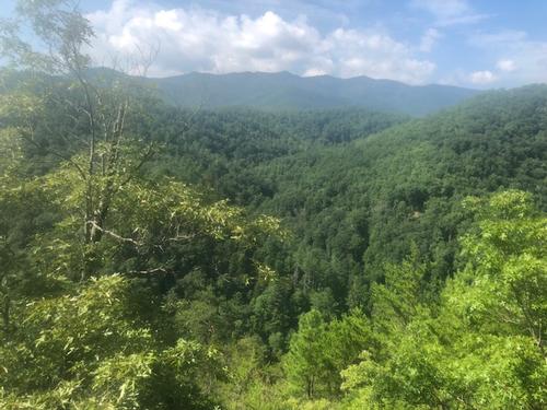 Benton MacKaye Trail - 9.6 Miles