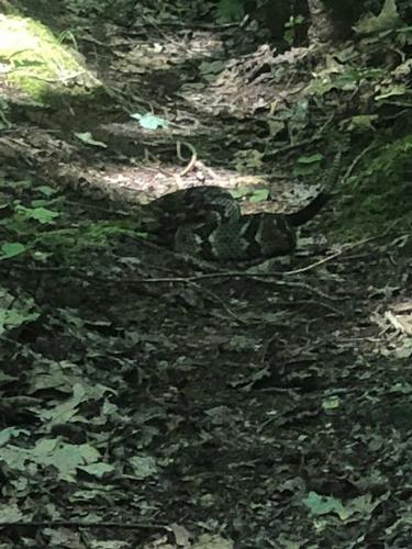 Tapoco Lodge to Big Fat Gap - Benton MacKaye Trail