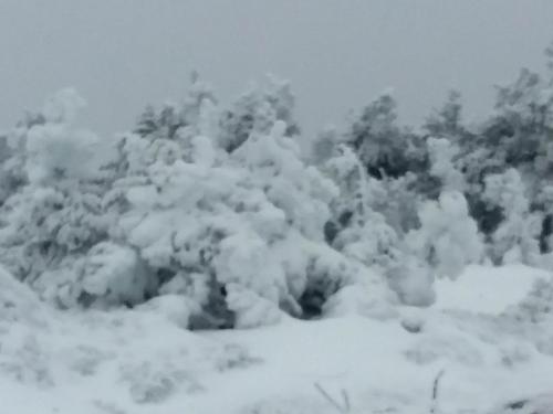 4116' Saddleback Mt