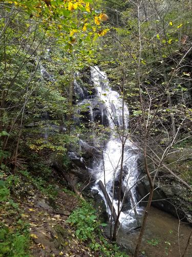 Doyles River Falls and Jones Run Hike