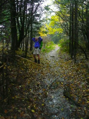 AT HIke - Carvers Gap to Hughes Gap