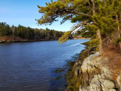 Easy Hike on the Back River trail