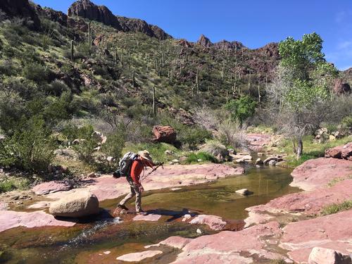 Backpacking the Superstitions