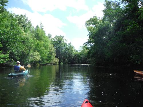  Paddle Loxahatchee River from Riverbend Park - Jupiter FL