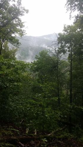 Benton MacKaye Trail Hike - Sandy Gap to Unicoi Gap